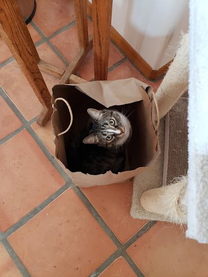 Dr. David J. Grossklaus, MD Dr. David J. Grossklaus, MD